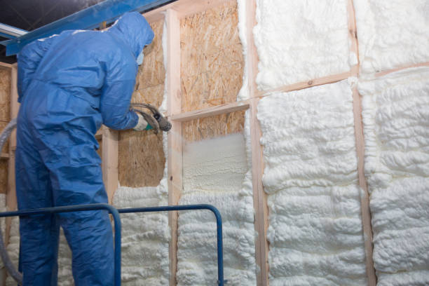 Best Radiant Barrier Insulation  in Mayflower, AR